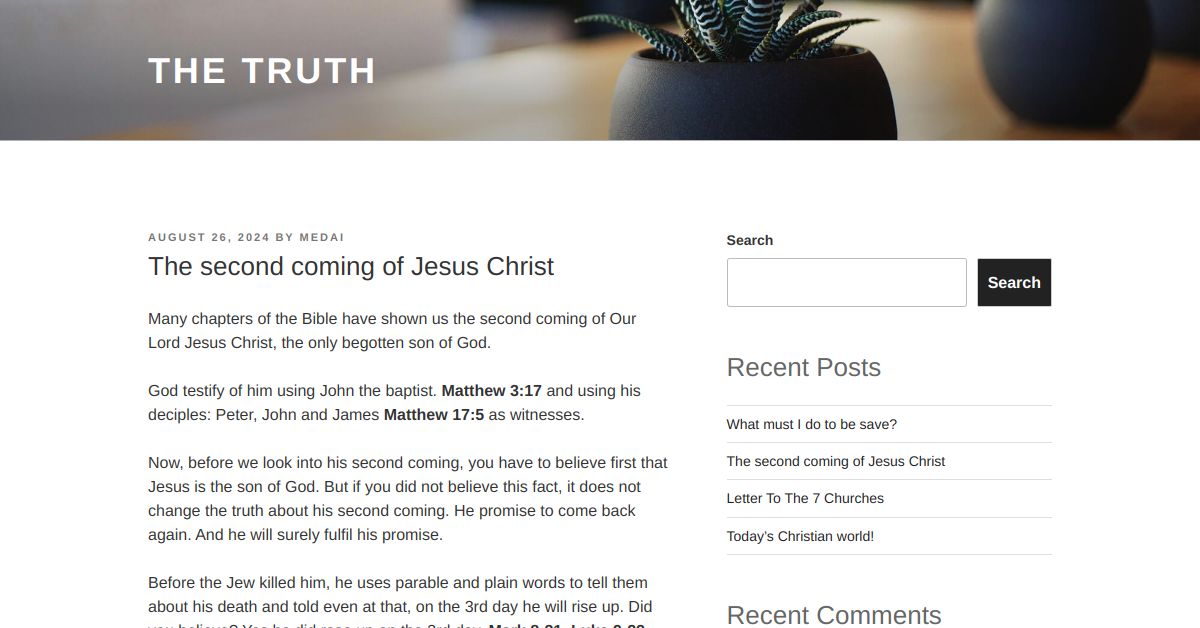 SECOND COMING OF JESUS CHRIST REDDIT visual data 4